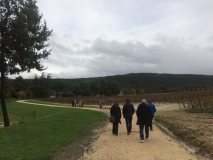 VIGNE PROMENADE